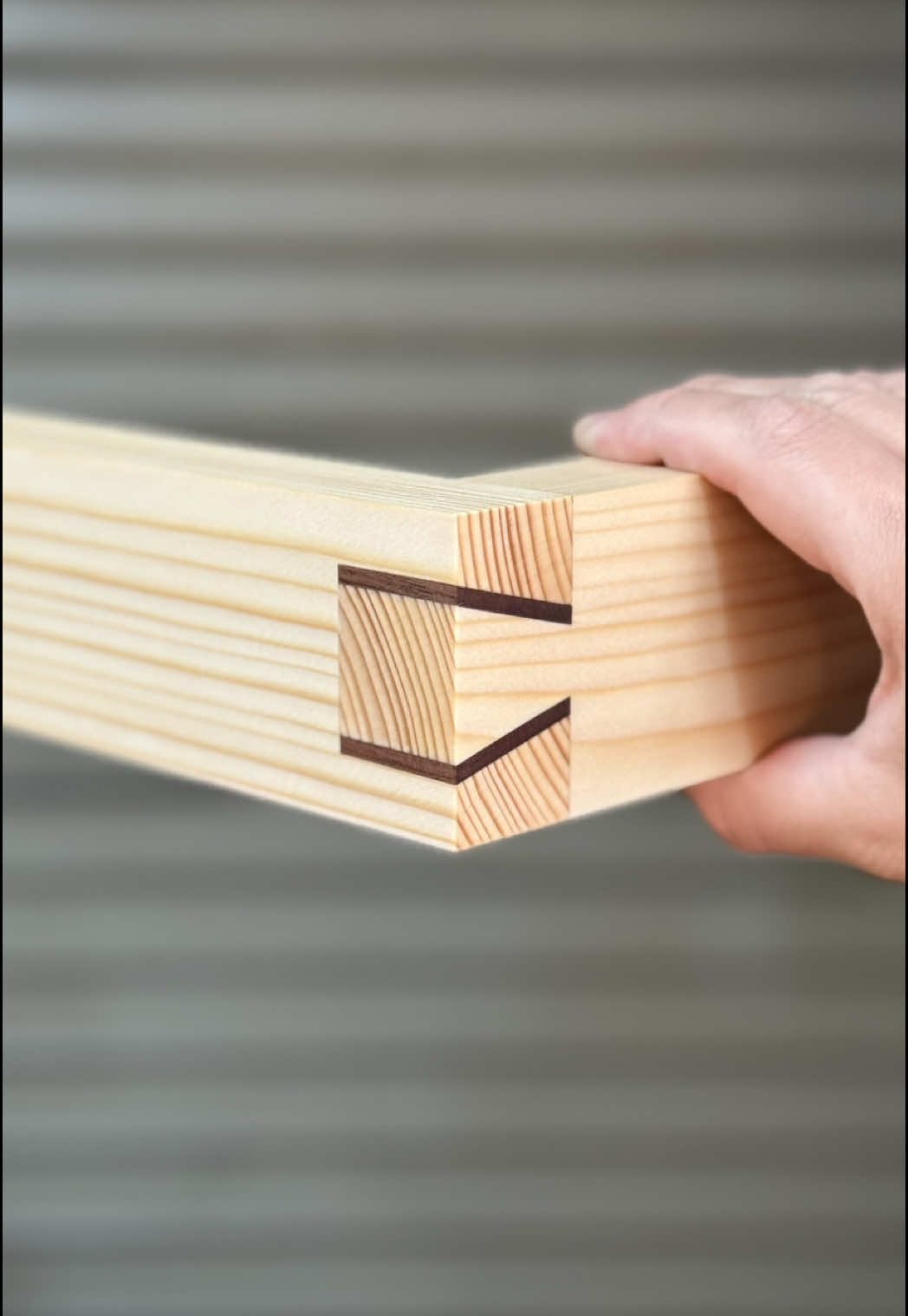 Subtly Accented Dovetail Joint Using Hand Tools. #woodworking #DIY #asmr #joint #wood 