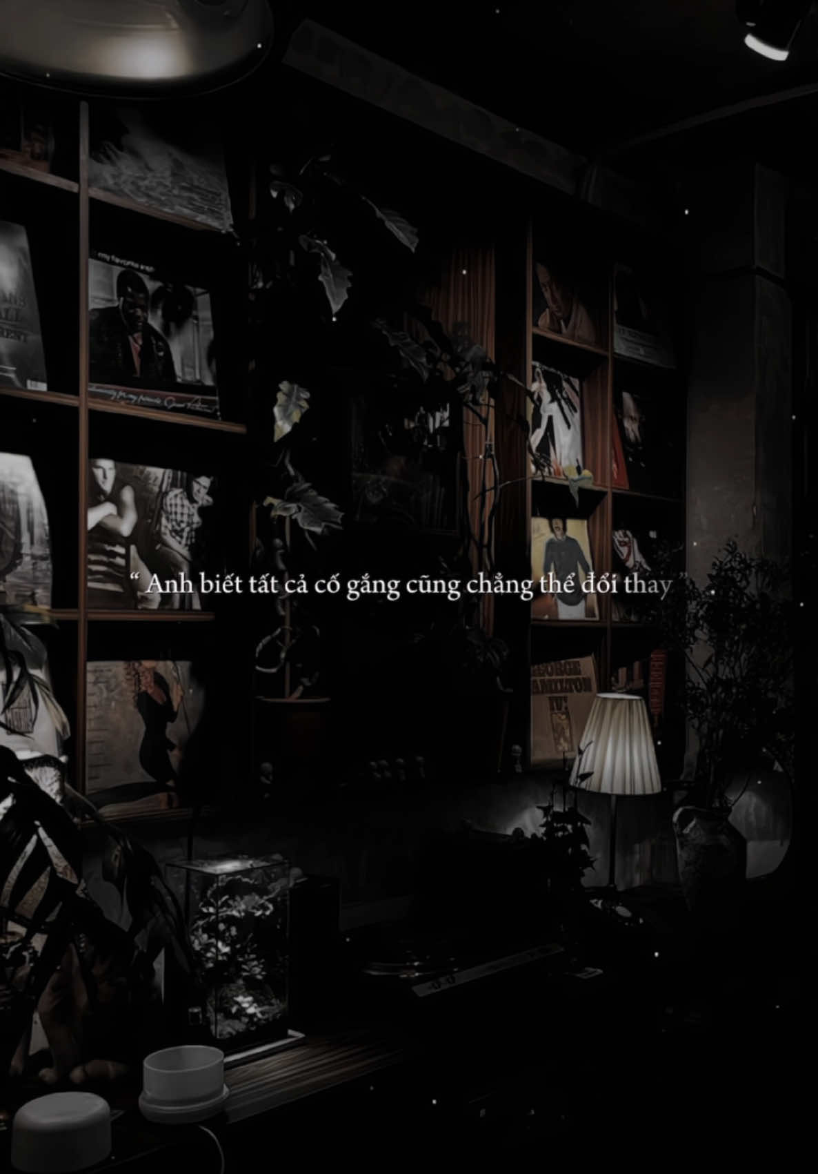 Bài này cuốn dữ vậyyy trờiii..🗿 #tramkyuc #arismusic #nhachaymoingay #donphuongminhanh 