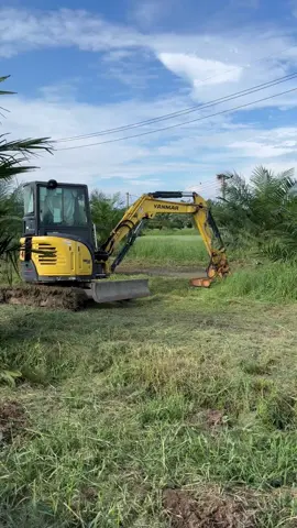แบคโฮติดหัวตัดหญ้า #ตัดหญ้า #ปาล์มน้ํามัน #yanmar #vio35 