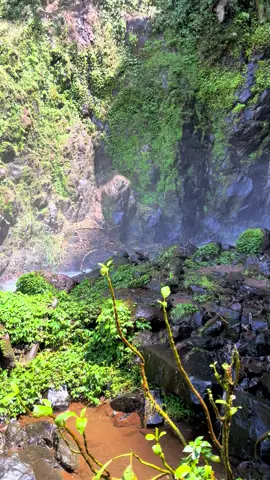 #curugbajing #petungkriyono #fyp 