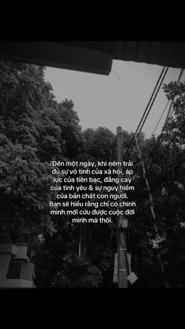 🖤#tamtrang #viral #lng10226 