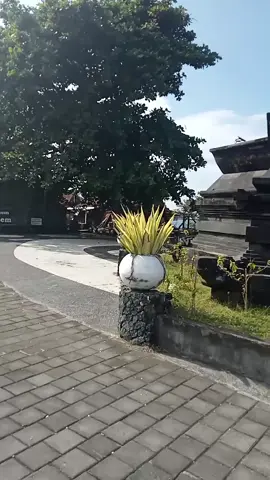 wayae ngopi 