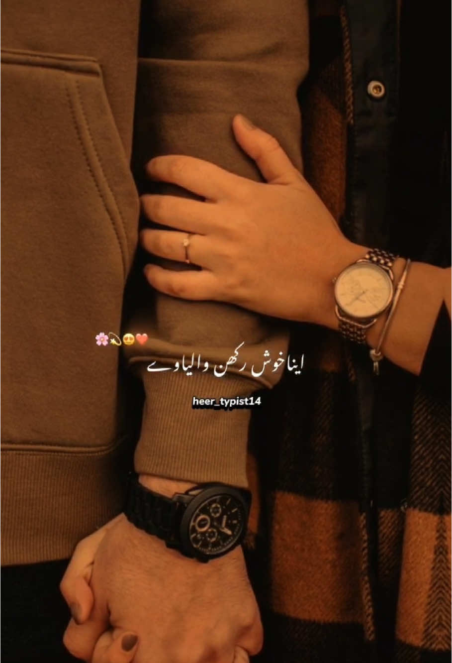Tera sarh jaanat lagda aye❤️#song #status #punjabisong #viralsong #lovesong #aesthetic#heer_typist12