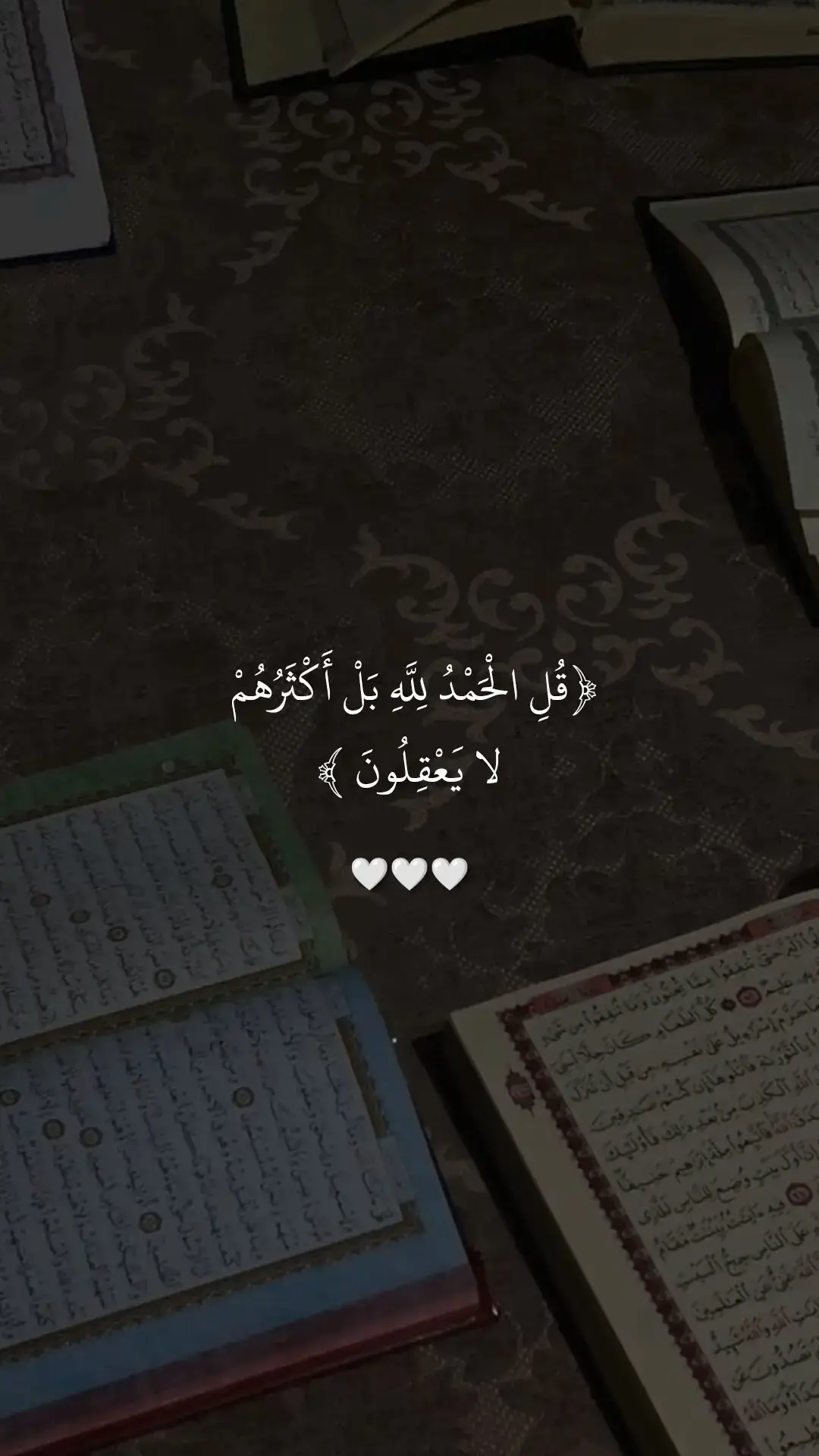 سورة العنكبوت 🤍  #اجر_لي_ولكم #قران #perte 