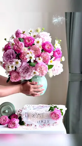 Hoa hồng Constance 💗💗💗#hoa #camhoa #hoahong #hoahongconstance 