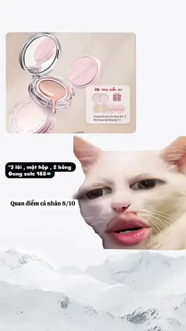 Ổn và flop😩😩😩#vanvatbietnoi#viralvideo #viral #xuhuong #riview #cushion 