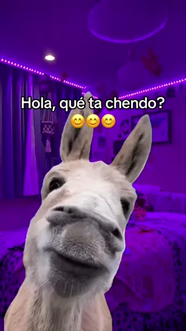 #Meme #MemeCut #videoviral 