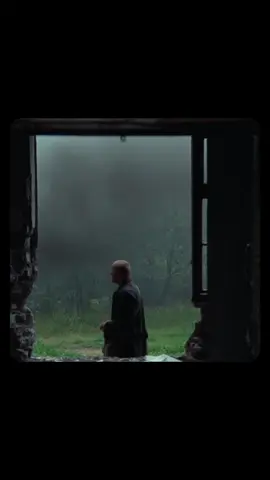 Monologhi eterni - Il senso della vita in Stalker di Andrei Tarkowsky #cinema ##film #perte #cinematic #davedere 