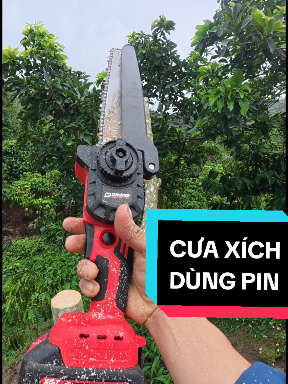 cưa xích 8inch của DRAMA đây anh em,nhỏ nhẹ,khoẻ dùng gia đình tuyệt với ông mặt trời #cuaxichpin #cuaxichdrama #cuaxich #nguyen0luyenthuyen#cuaxichdekton 