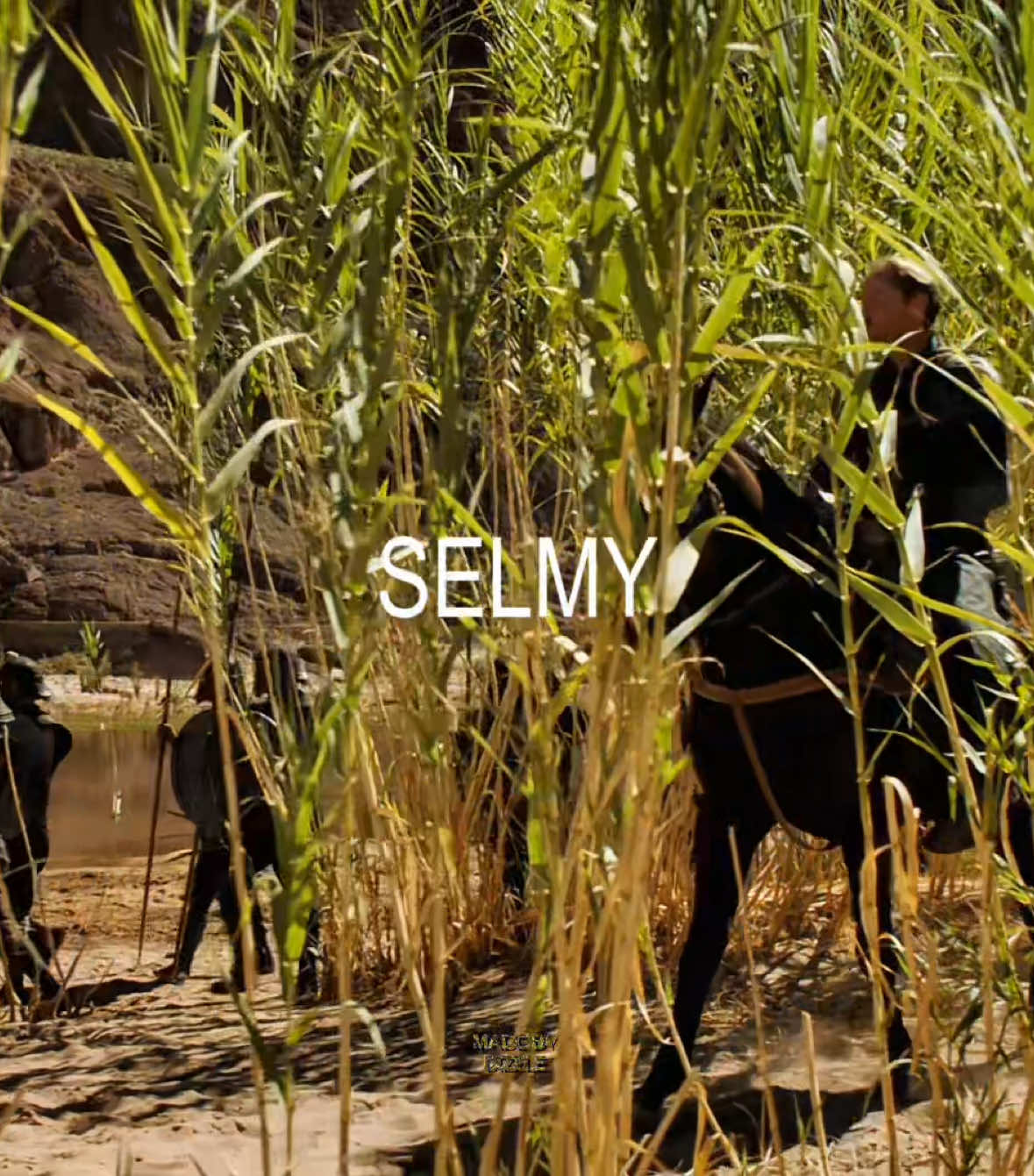 #SELMY | I've made so many edits without this sound, be prepared😝 sp: @emscnpck @411scenes hanxa5801 on yt ib: @ниса лавгуд #selmyedit #barristanselmy #barristanthebold #gameofthrones #got #gotedit  
