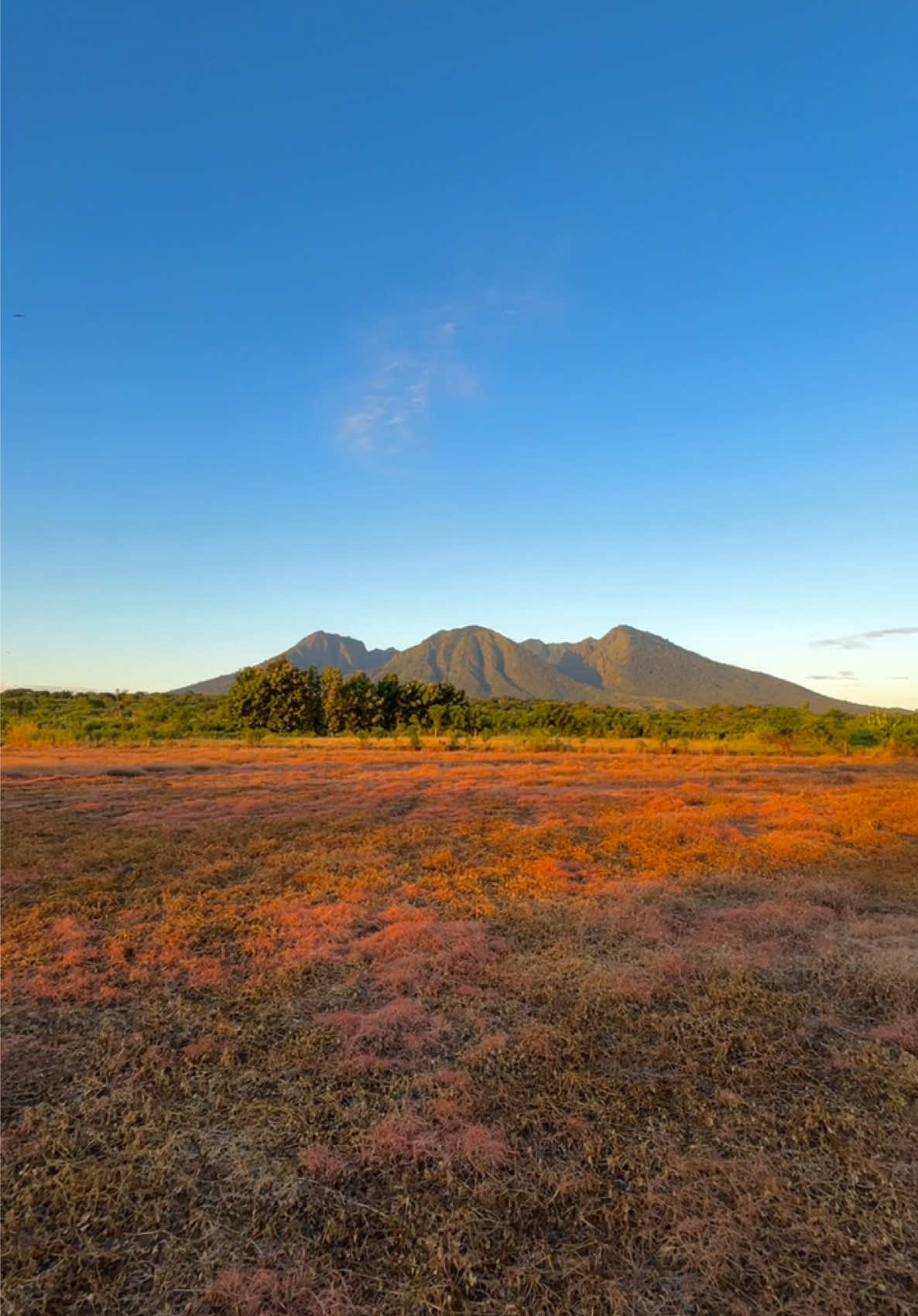 #creatorsearchinsights #fyp #baluran #kursilipat #sunrise