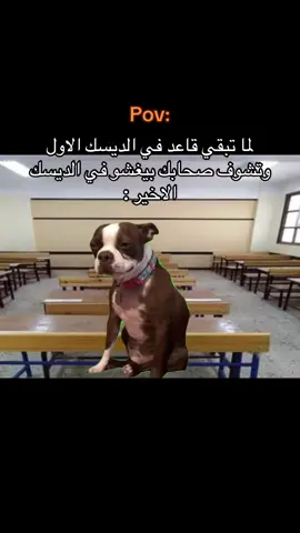 #ضحك #ميمز #fypdongggggggg 