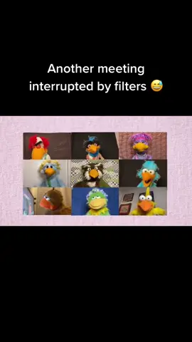 Let’em have their fun 💻 🦤  #birdcallradio #birdcall #show #dodo #space #spacey #birds #call #oncall #meeting #meetings #filter #filters 
