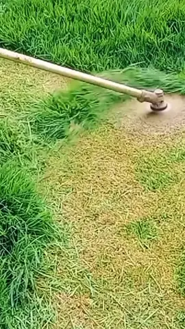 Oddly Satisfying Sensations | ASMR | #Perfect cutt! 🍀💚 #lawntok #grasstok #gardentok #landscapersoftiktok #asmr #oddlysatisfying #Satisfying #mowing #lawn #garden #clean #CleanTok #landscape #gardening #lawncare #mowingthelawn #lawnmower #creatorsearchinsights #brushcutter #lawntiktok #lawnsoftiktok #lawnmowing #lawns #grasstiktok #cuttinggrass #satisfaction #spring #goviral #original