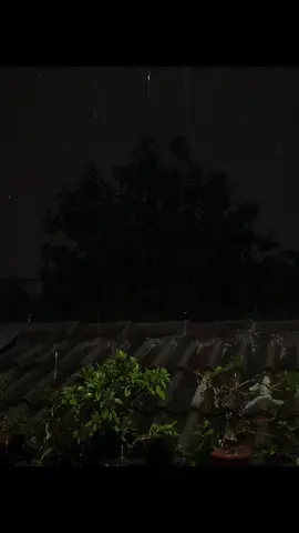 andai tau sesakit ini aku tidak akan pernah mencintaimu.