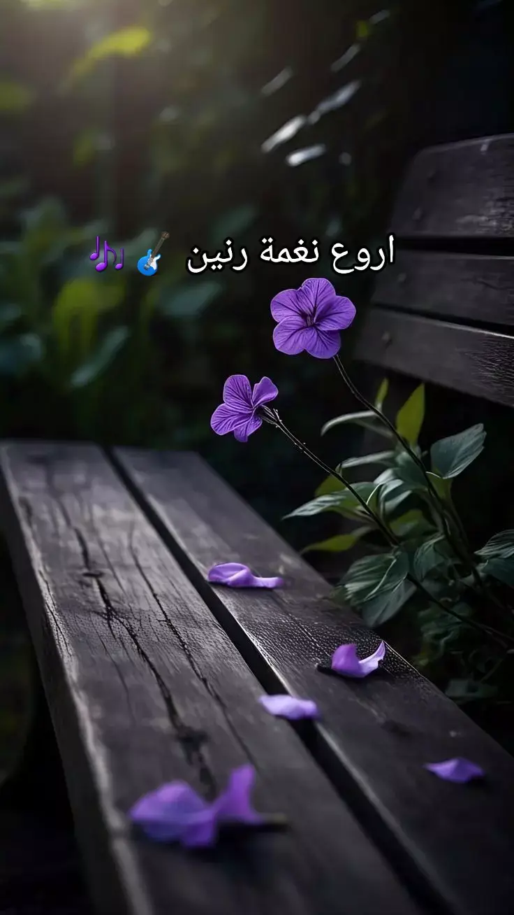 #رنات #نغمات #موسيقى #نغمات_رنين 