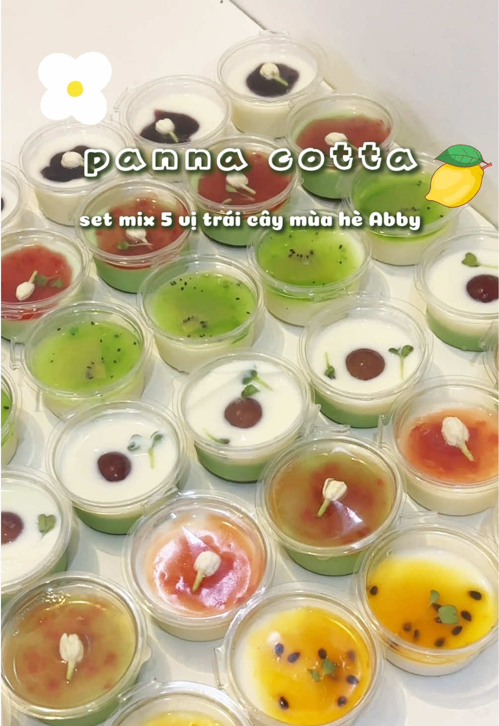 Làm 50 hũ panna cotta chỉ 3 bước giải nhiệt mùa hè 🫶 #dieuanh_2210 #xuhuong #xh #trending #trend #lambanh #làmbánh #trendingvideo #abby #abbydolambanh #setnguyenlieu #pannacotta #panna #trending #viral #fyp #LearnOnTikTok #ancungtiktok #monngonmoingay #summercake #easyhomecook 