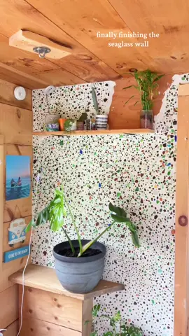 one year ago today! #seaglasswall #seaglass #onthisday 