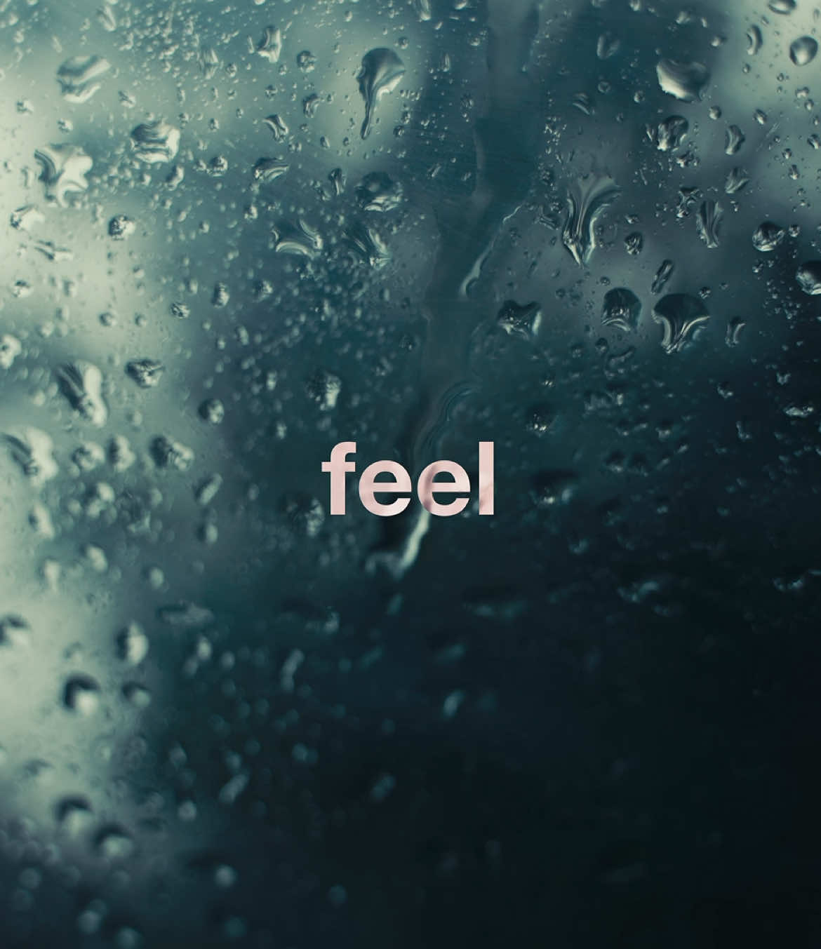 Creating to feel 🎞️🖤 #cinematography #travel #filmmaking #earth #cinematic #videography 