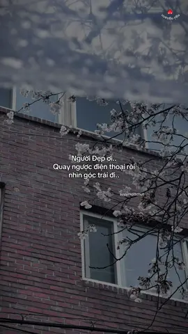 “Vậy ha ngừi đẹp☺️” #suyymottchut #viral #fyp 