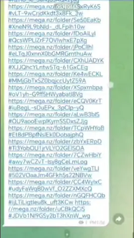 MEGA资源 50GB rm5.88 100GB RM10 200GB RM18 300GB RM28 1TB RM65.88 有诚信图 不怕被骗 @xiaofmega https://t.me/H845s