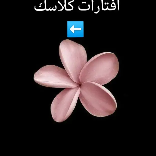 افتارات ورد كلاسك بدون ذنوب 😉✨#افتارات #افتارات_فخمه #افتارات_حلوه #افتارات_بنات #كلاسك #ورد #كلاسك_گيرل #فيروز #صور #بنات #الشعب_الصيني_ماله_حل😂😂 