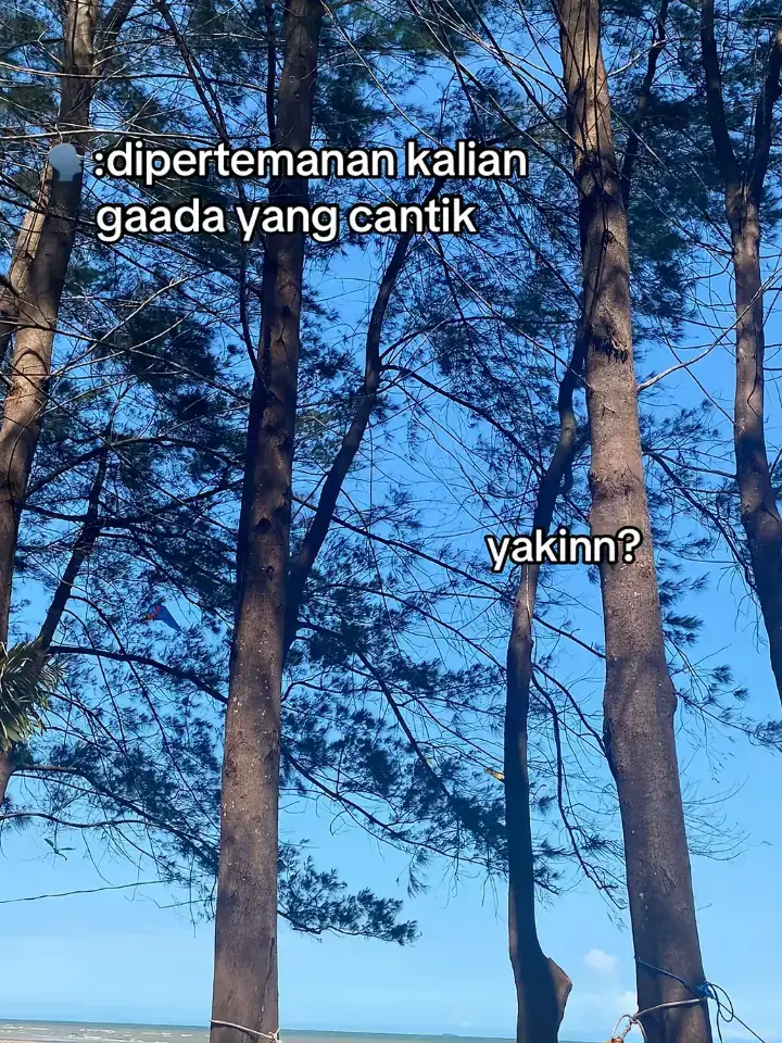 anjaayyy ib lewat fyp  #fyp 