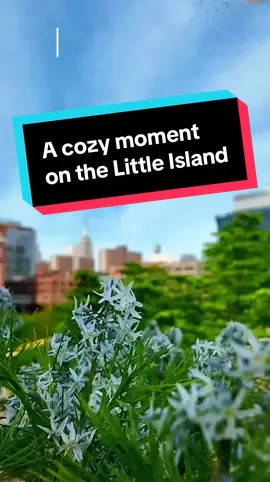 take a second and breathe Join us live on Twitch twitch.tv/aprylanonymous  #littleisland #almostsummer #springvibes #empirestatebuilding #irl #nyc #nyclife 