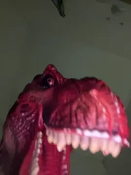 miss  #XXL #dinoloser 