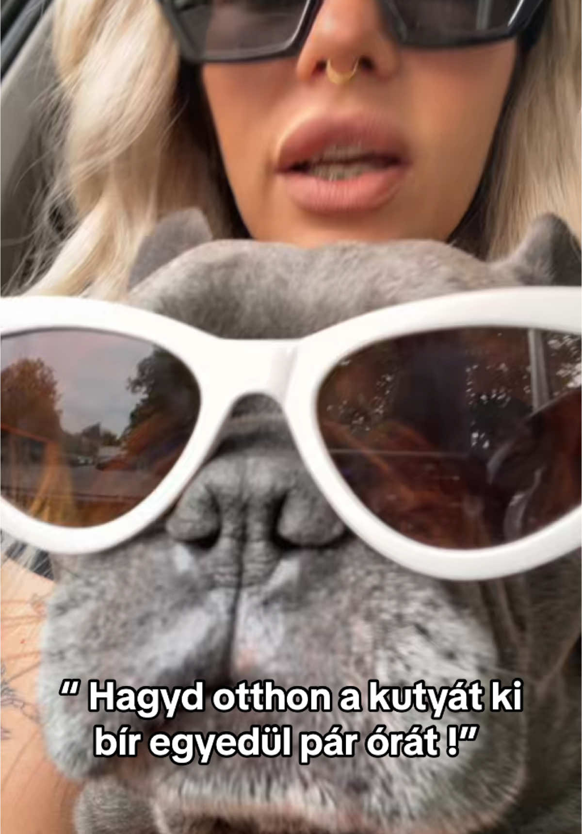 SOHA ! #foryou #fyp #nekedbelegyen #neked #nekedbeakaromlatni #frenchiesoftiktok #puppiesoftiktok #frenchie #foryoupage #frenchbulldog #trend #thatwasrude 