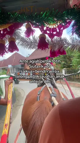 Ba petrik lai namuah???#sadminang #kudabendi #takicuahdinantarang #katokato #bukittinggi #fypage 