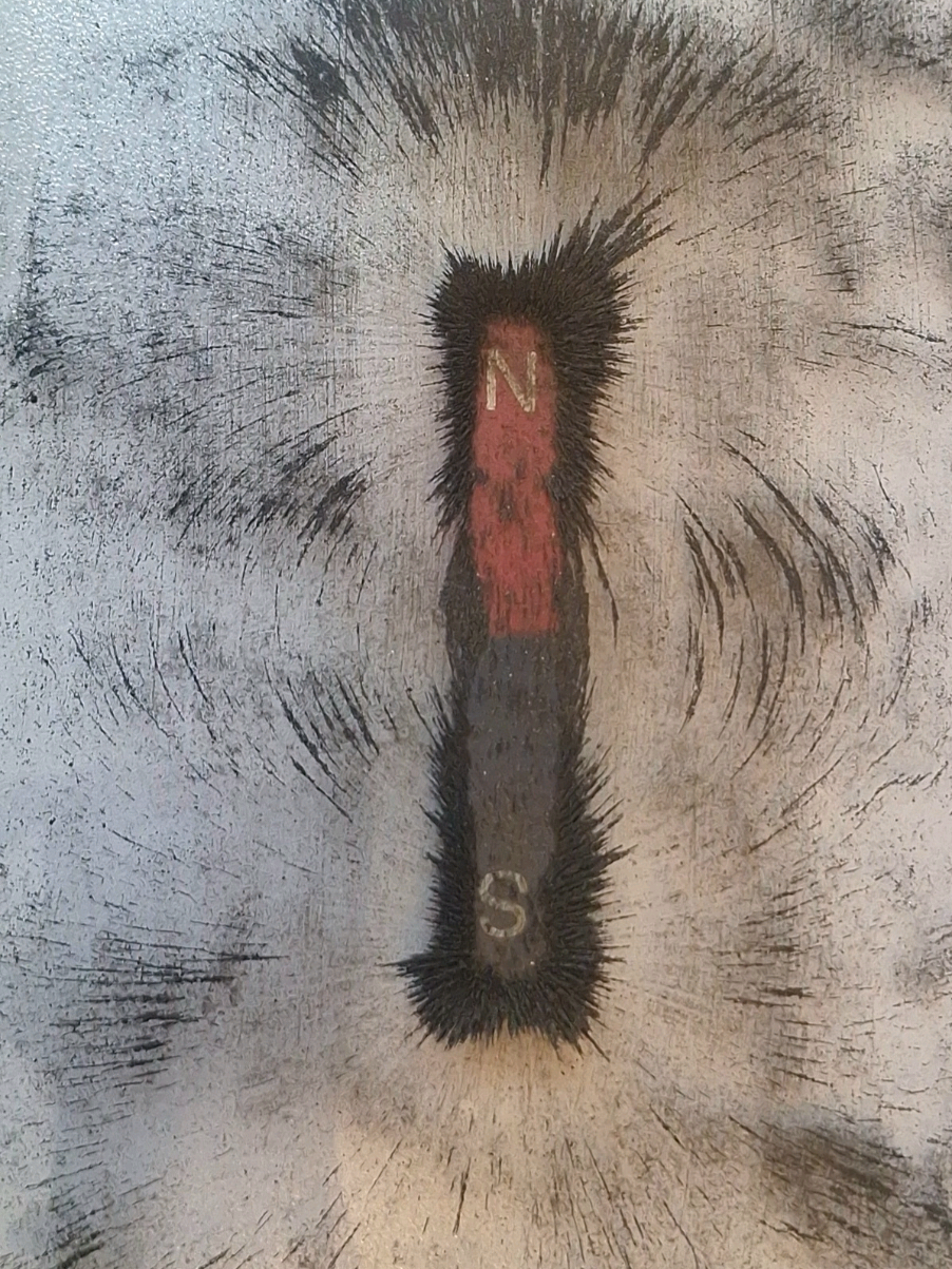 Magnetic field lines 🧲 #physics #magnetism #magneticfield#physicsexperiment #fyp 