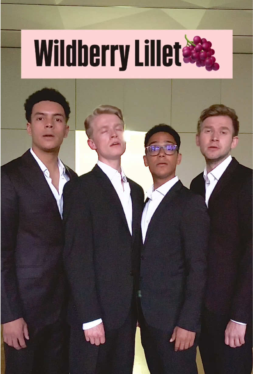 Wildberry Lillet🍇  @ninachuba  #germangents #ninachuba #rap #sommer #hit #drink #party #acappella #harmonys #classic #Summer