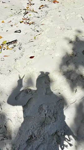 🌊🌊🌊