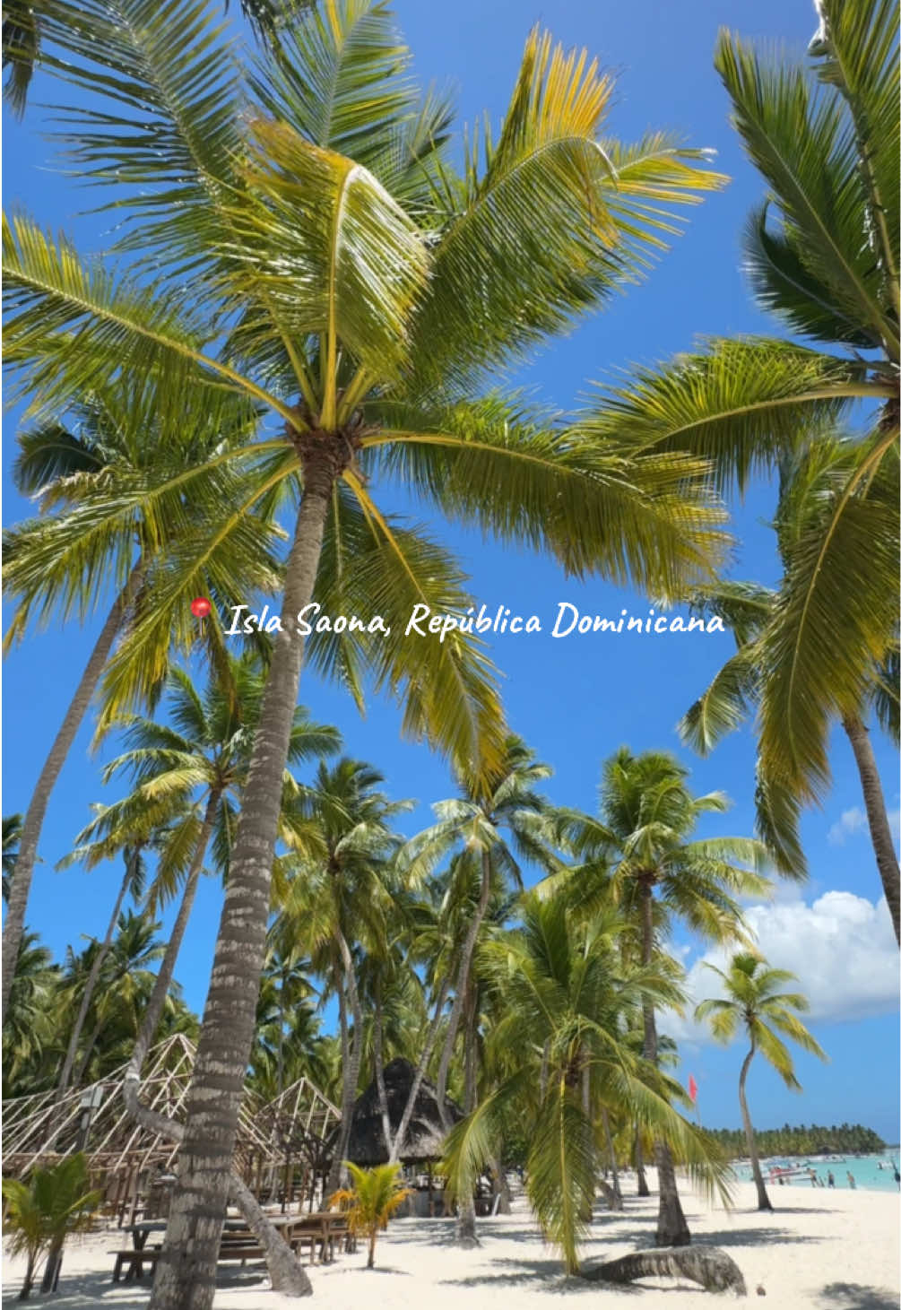 ME ENAMOREEEE 😍 Gracias vida 🤩💜 #republicadominicana #islasaona #puntacana #vacaciones #viajar #creatorcontent #fyp 