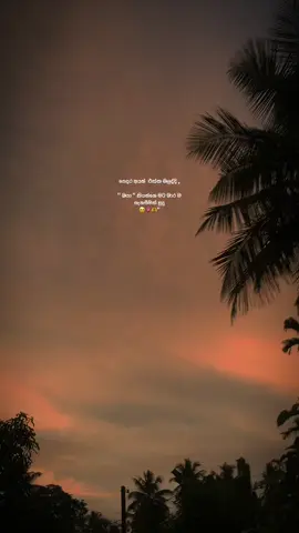 #wheneverwherever#fypage#trendingpage#explore 