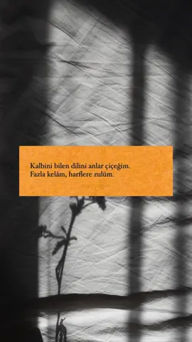 #şiir #şair #yazar #cevizağacı #nazımhikmet #nazımhikmetran #cemalsüreya #oğuzatay #atillailhan #özdemirasafşiirleri #cahitzarifoğlu #söz #sözler #murekkepmevsimi #sezaikarakoç 