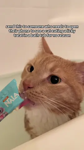 i could watch this all day 