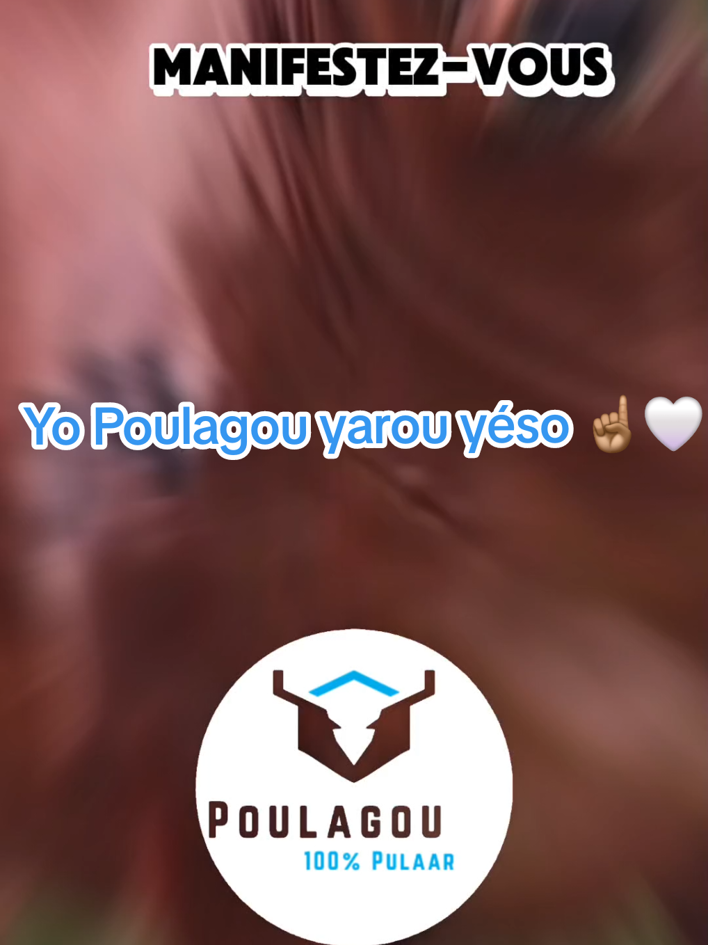 Yo Poulagou yarou yéso ☝🏽🤍  #poulagou❤🇲🇱🇲🇷🇸🇳🇬🇳🇬🇭 #yopoulagouyarouyéso☝🏽🤍 #fulani #fulbe #fulfulde #pulaagu #pulaar #peulh #fyp #fyyyyyyyyyyyyyyyy #viralvideos #500kviews #100kfollowers #tiktokfrançais #tiktokeurope #france #senegal🇸🇳 #malitiktok🇲🇱 #mauritania🇲🇷 #bourkina🇧🇫226 #guinnéeconakry🇬🇳🇬🇳🇬🇳 #ghanatiktok🇬🇭 #gambian_tiktok🇬🇲🇬🇲 #camerountiktok🇨🇲 #nigeria🇳🇬 #niger #togolais228🇹🇬 #afriquedusud🇿🇦 #fouta  #foryoupage❤️❤️ 