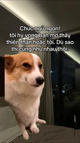 có khác gì đâu #xuhuong #fyp #viral 