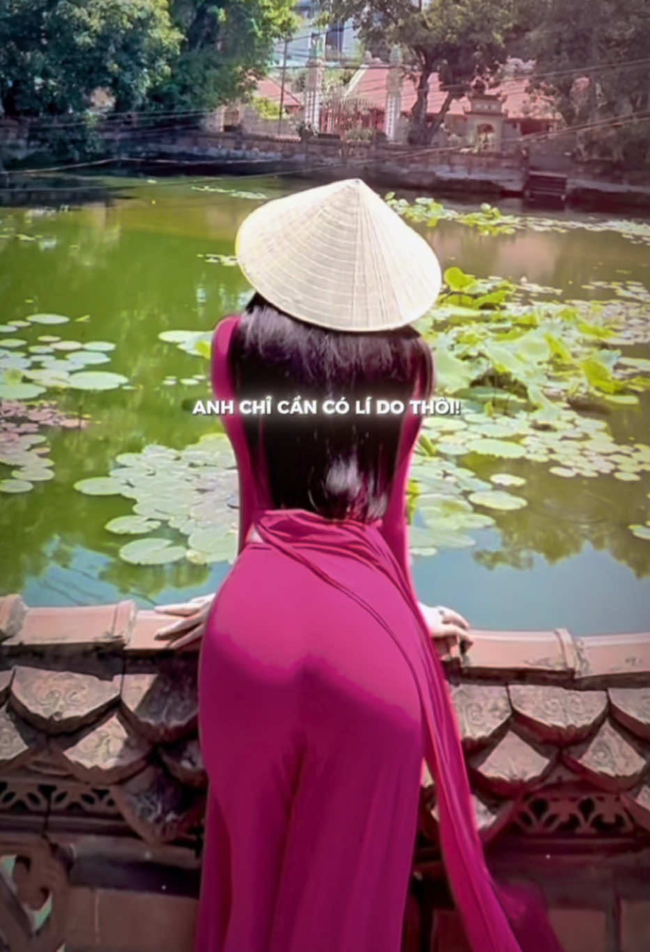 Lí do của anh đâu ? 