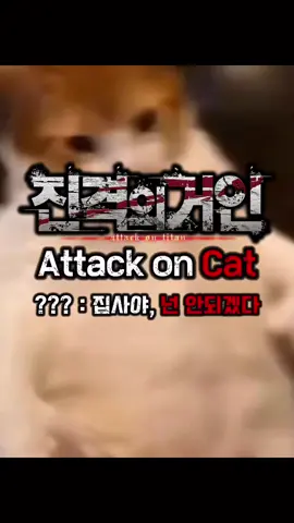 냥이를 절대 괴롭히면 안 되는 이유 #진격의거인 #進撃の巨人 #AttackOnTitan #aot #Cat