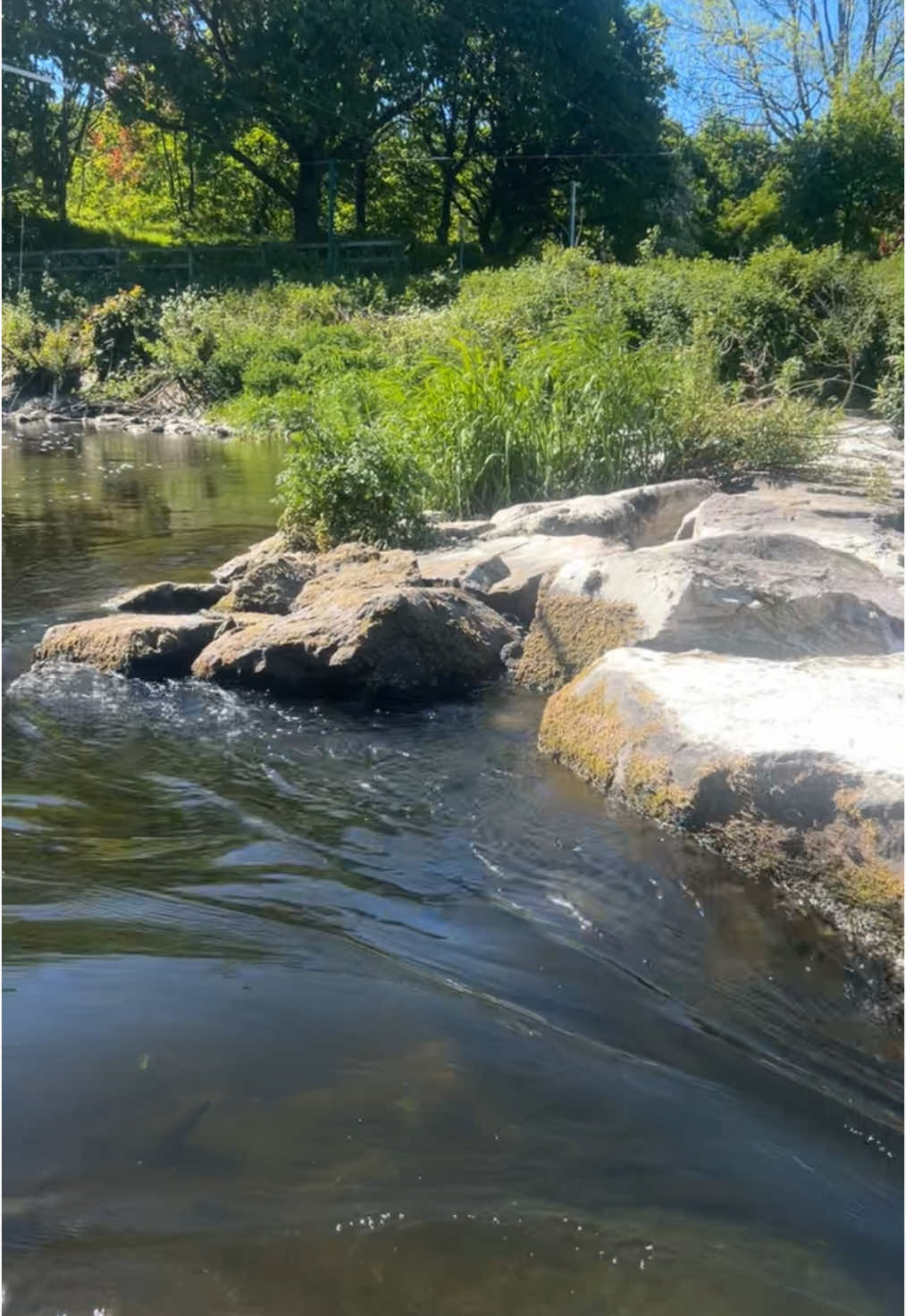 Scenic run breaks #Running  #belfast