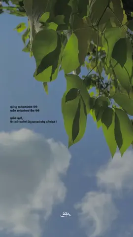 හ්ම්😩#foryou #viral #onemillionaudition #status #Foryoupage #vadanstatussinhala #status #fypシ゚ #whatsappstatus 