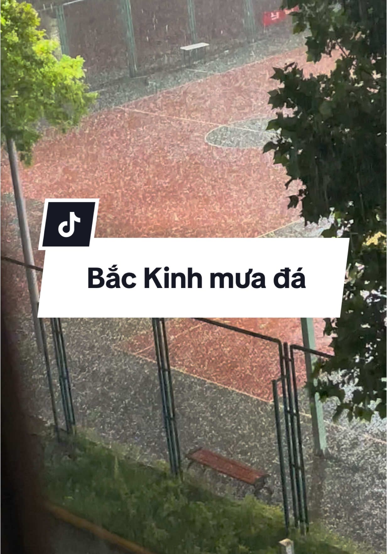 chưa có nơi nào thời tiết khắc nhiệt như Bắc Kinh, hnay đang bình thường bỗng dưng sấm chớp, mưa đá đột độp. Có những hôm gió to giật cấp 12,13, người dân phải đi mua đồ dự trữ. Mùa đông siêu khô, rét căm căm âm độ, tháng 4 bỗng xuất hiện cả đống dương liễu bay trong gió, mùa hè lại rất nóng 🥹 #duhocsinhtrungquoc #tiếngtrung #tiktok #fyp #trending 