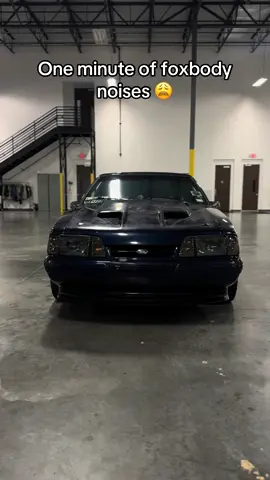 Nostalgic noises 🤧 #fox #fyp #foxbody #ford #mustang #foxbodymustang #stang #302 #viral #fyp #5ohh 