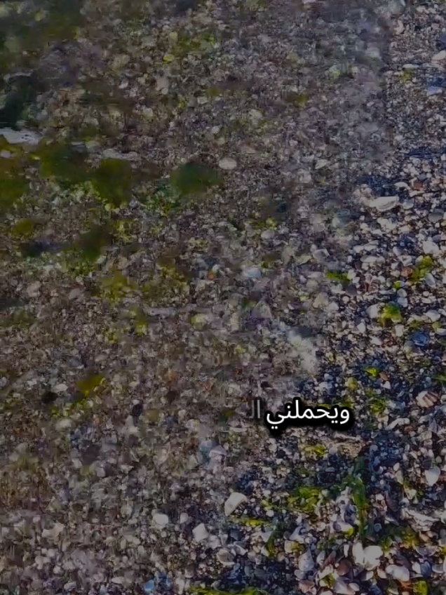 ويحملني الحنين إليك طفلاً وقد سلب الزمان الصبر مني وكان العمر في عينيك أمناً وضاع الأمن حين رحلت عني #تركيا #اسطنبول #الغربة #مغترب #شعروقصايد 
