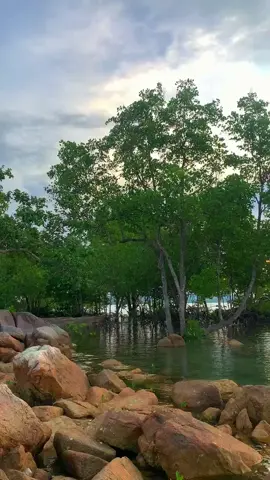 Tenang banget tempat nya🌊#CapCut #belitung #wisatabelitung #fypシ゚ 