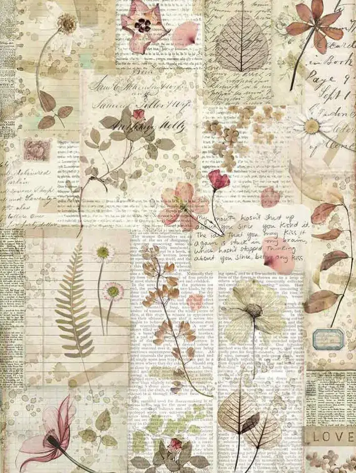 Calling all vintage lovers and creative souls! Our Vintage Aesthetic Paper & Sticker Sets are here to add a touch of nostalgia to your journals, scrapbooks, and crafts. Beautiful botanical and retro designs Perfect for journaling, scrapbooking, and DIY décor High-quality print and textured paper feel Limited stock available! DM to order your set and start your vintage-inspired creations.