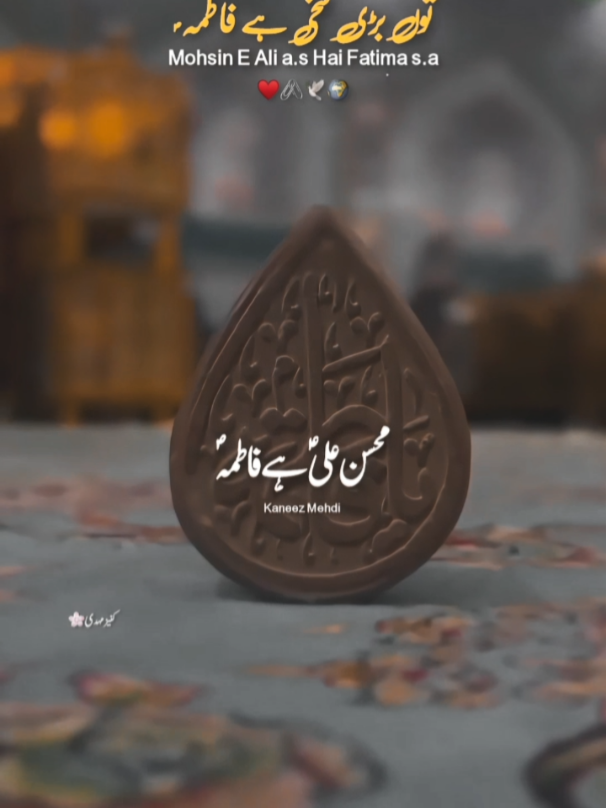 Mohsin E Ali a.s Hai Fatimazahra s.a ♥️🖇🕊🌍 #I-NEED-SUPPORT #LearnOnTikTok #1millionaudition #growmyaccount #viralvide #pleasetiktokteamviralvideo #fyp #foryoupage #f #fyppppppppppppppppppppppp #viewsproblem #unfrezzmyaccount #unfrezzmyaccount #unfrezzmyaccount #kaneezMehdi 
